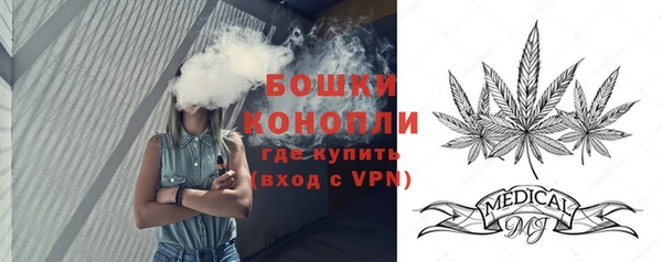 ешки Аркадак