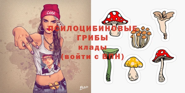 сатива Арсеньев